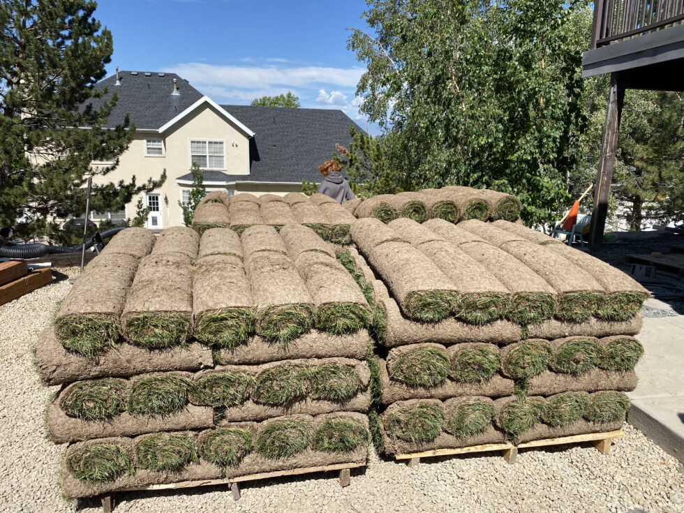 Best Sod In Utah Best Sod In Utah
